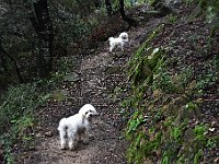 DSC 8407  -  TRILLI E JOLIE