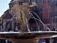 DSC 8257  - FONTANA DI MADONNA VERONA