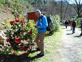 Trekking_delle_camelie_(85)