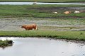 DSC_7932