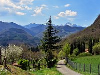 DSC 1925  -PANORAMA CON LE APUANE SULLO SFONDO