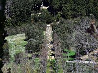 DSC 1520 - IL BOSCO DELLA RAGNAIA A S.GIOVANNI D'ASSO