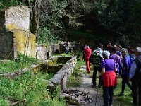 DSC 1618 - ANTICA FONTE DEI PORTONARI