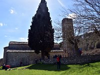 DSC 5071   -   PIEVE DI PERNINA