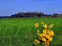 DSC 5183 - Monteriggioni