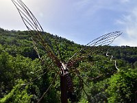 DSC 7387