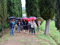 DSC 7641  -   LA PARTENZA DELLA DOMENICA 8