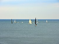 DSC 7309