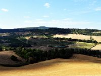 DSC 9333  -  VIGNETI DI VERNACCIA