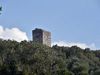 DSC 9526  -  TORRE DI MONSUMMANO ALTO