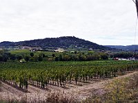 DSC 0202  -  SULLO SFONDO MONTALCINO