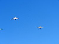 DSC 0016