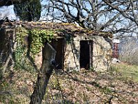 DSC 9882   -  RUDERE