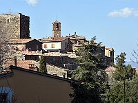 DSC 9887  -  SASSA