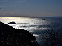DSC 9785