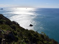 DSC 9798