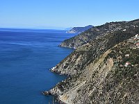 DSC 9800