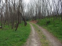 DSCN3432