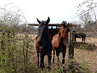 DSCN3449