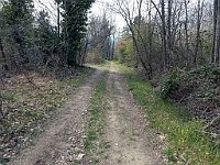 DSCN3456