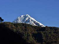 DSC 1436