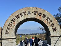 14-DSC 0487