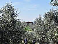 DSC 0761