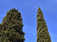 DSC 0767