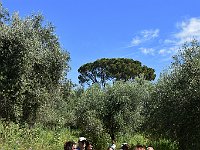 DSC 0771