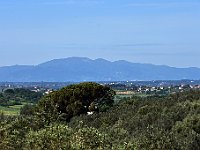 DSC 0772