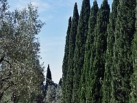 DSC 0774