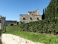 P1010831