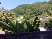 P1020474