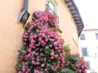 P1020504