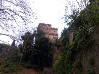 P1020064