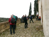 P1020087  -  ALICA