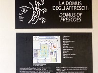 P1020210