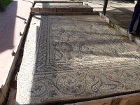 P1020214