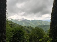 IMG 20250518 105606048 HDR
