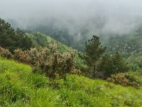 IMG 20250518 121606588 HDR