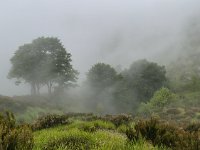 IMG 20250518 122844934 HDR