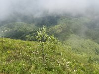 IMG 20250518 131840776 HDR