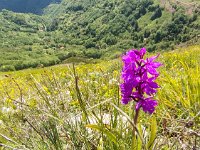 IMG 20250518 140001756 HDR