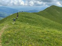 IMG 20250518 141606754 HDR