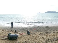 P1020626   -  LA BAIA BLU