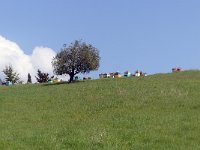 P1020284