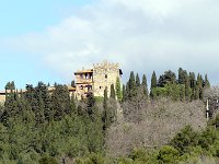 P1020318  -  CASTELLO FALSINI