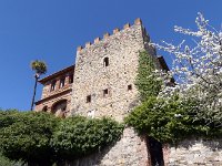 P1020329  -  CASTELLO FALSINI