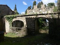 P1020333