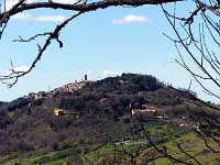 P1020347  -  RADICONDOLI